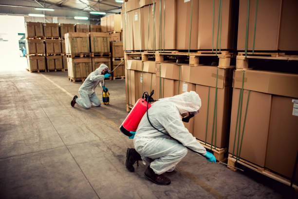 Best Pest Inspection Near Me  in Hawaiian Gardens, CA