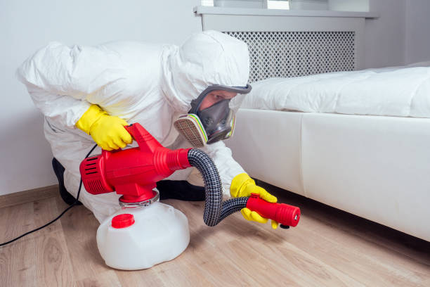 Insect Control in Hawaiian Gardens, CA
