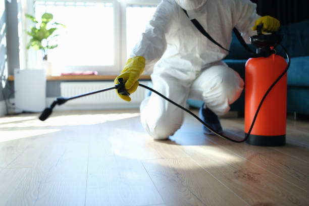Professional Pest Control in Hawaiian Gardens, CA