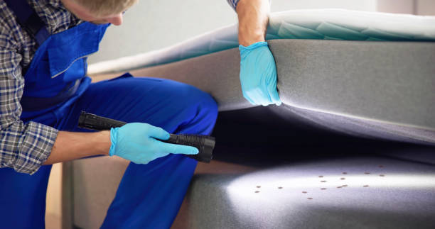 Best Local Pest Control Services  in Hawaiian Gardens, CA
