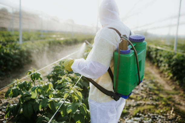Best Emergency Pest Control  in Hawaiian Gardens, CA